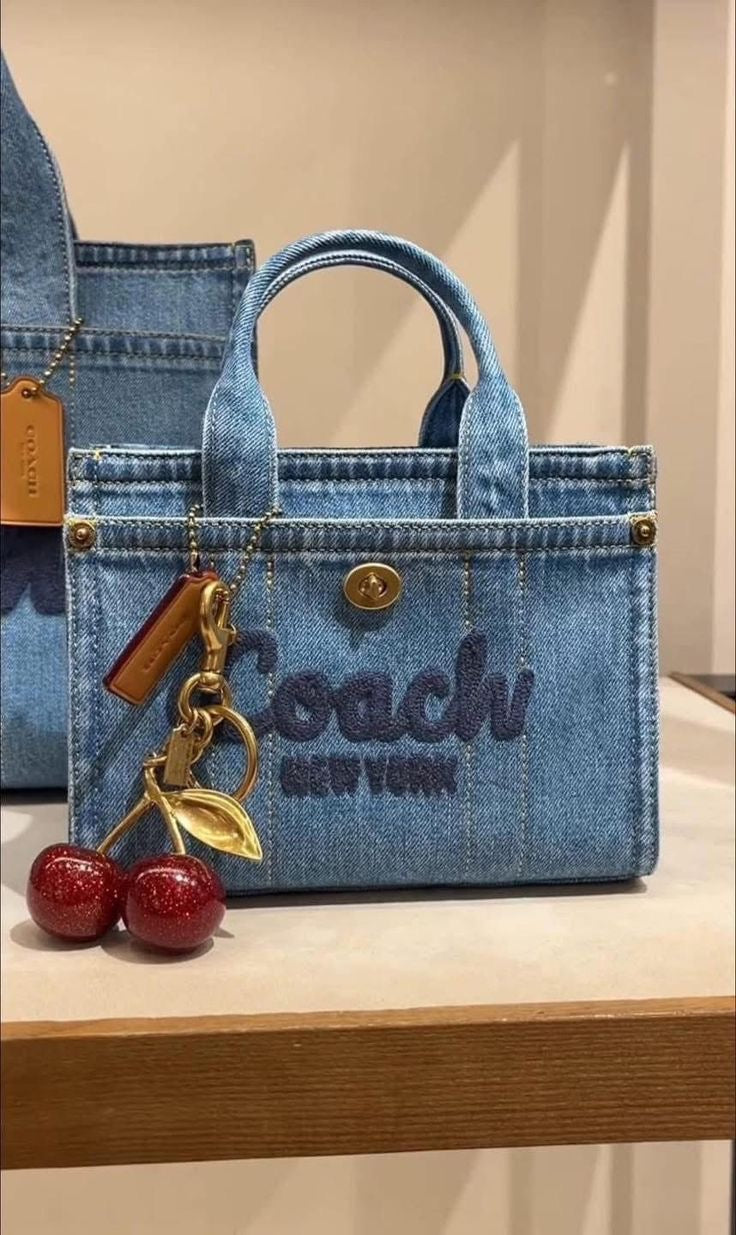 Coach Denim Small